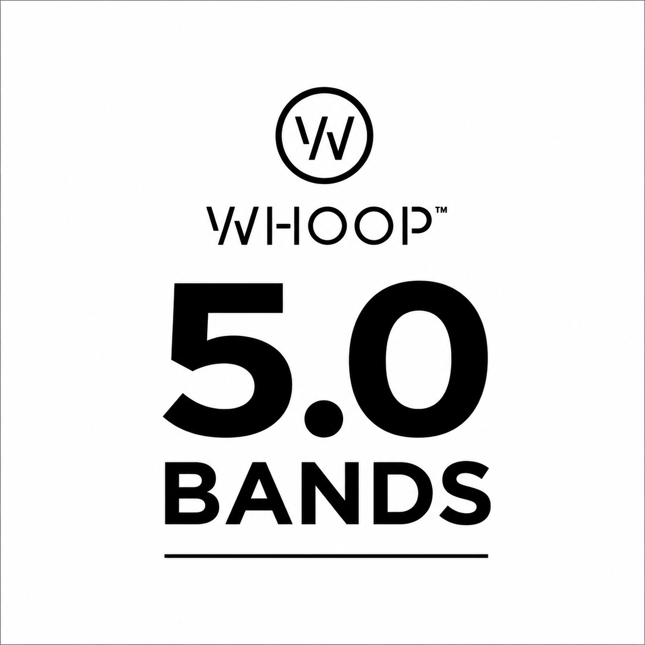 5.0 Bands - باندات 5.0